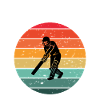 Cricket in the Retro Sun