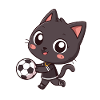 Sporty black cat with ball