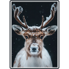 Reindeer Reindeer