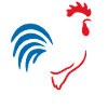 Vibrant blue red rooster