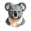 Gentle Koala Portrait