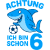 Achtung 6: Hai mit Ball