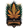 Marijuana
