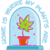 Home is where my plants are