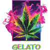 Gelato