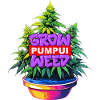 Grow Pumpui Weed