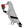 Pigeon with Roses – Urban Minimal Illustration