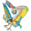 Bunte Vögel