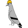 Pigeon Construction Helmet – Minimal Illustration