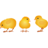 Chick – Cute Spring and Easter Motif