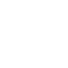 Fly Eagle Fly