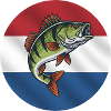 Perch Fishing Netherlands