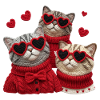 Valentins Katzen Mit Herzbrillen Und Pullis