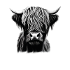Cabeza dura