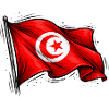 Tunisian flag