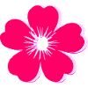 Vivid Pink Flower Bloom