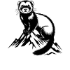 Ferret I Get Everywhere