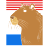 Don't Worry Be Capy Capybara