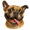 Cheerful dog head with tongue