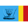 DRC BOLD UNOFFICIAL FLAG