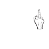 De Mittelfinger avec amour