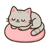 Chat doux sur coussin rose
