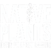 Native Plants Over Perfect Lawns