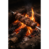 Flames skewer at the campfire