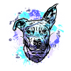 Croix du taureau beagle