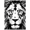 Lion Gaze Intense Power