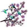 Hummingbird in different perspectives, almond blossoms