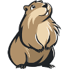 Cute Groundhog