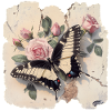 Papillon