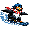 Penguin Boarder Winter Sports