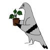 Pigeon with Plant – Minimal urban illustration
