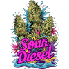 Sour Diesel