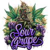Sour Grape