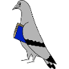 Pigeon with Book – Minimal Urban Illustration