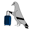 Pigeon with Suitcase – Minimal urban Illustration