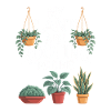 Houseplants Houseplants