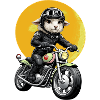 Motorcycle sheep in leather look