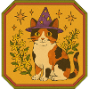 Calico Witch Cat with Starry Hat