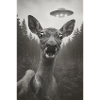 Quand un cerf voit un OVNI