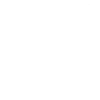 T-Rex Motivator & Radfahrer