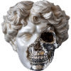 Classic meets steel skull