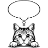 Scottish Straigh Cat Speech Bubble