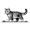 Cat Running Cat