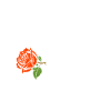 Skull Line-Dance Rose