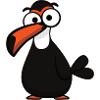 Funny Toucan Bird with Big Beak