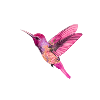 Nordic Print - Kolibri - Pink